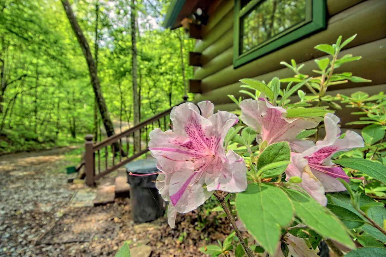 Tree Song Mountain Creek Cabin Эллиджей Экстерьер фото